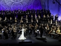 Concerto China Red Xizi Venus